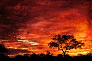 Güney Afrika hava tahmini