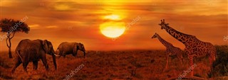 Güney Afrika hava tahmini
