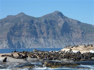Güney Afrika hava tahmini