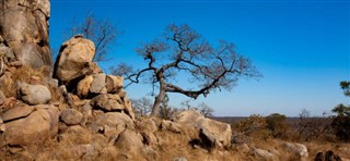 Güney Afrika hava tahmini