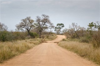 Güney Afrika hava tahmini