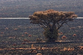 Afrique du Sud prévisions météorologiques