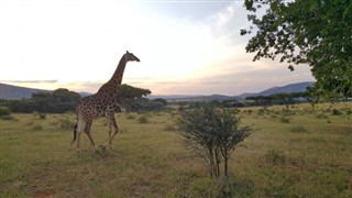 Sydafrika vejrudsigt
