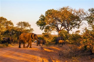 Afrique du Sud prévisions météorologiques