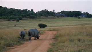 Güney Afrika hava tahmini