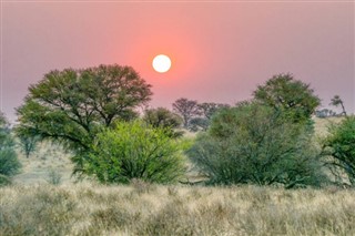 Güney Afrika hava tahmini
