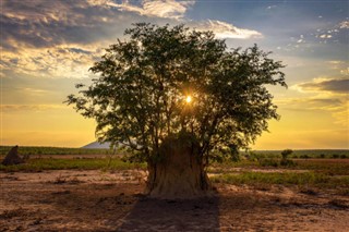 Güney Afrika hava tahmini