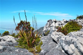 South Africa weather forecast