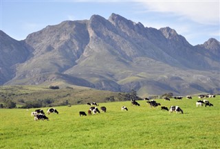 Sydafrika vejrudsigt