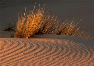 Güney Afrika hava tahmini