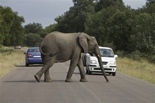 Sydafrika vejrudsigt