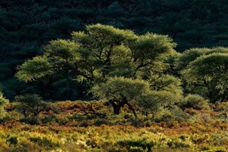 Güney Afrika hava tahmini