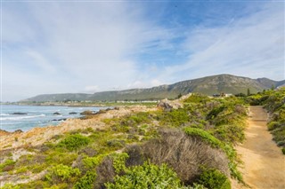 Güney Afrika Hava tahmini