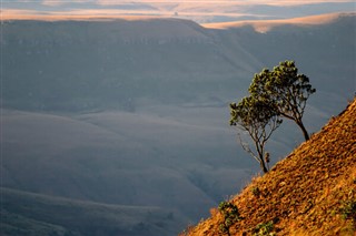 Güney Afrika Hava tahmini