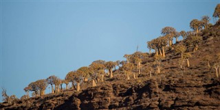 Güney Afrika hava tahmini