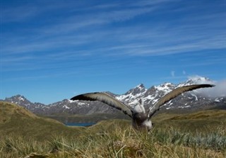 South Georgia Sydsandwichøerne vejrudsigt