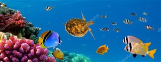 Spratly Adaları hava tahmini