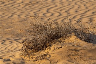 Sudan hava tahmini