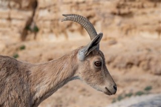 Sudan hava tahmini