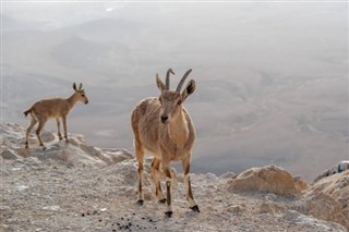 Sudan Hava tahmini