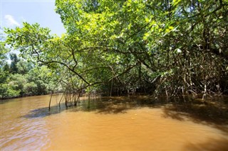 Surinam hava tahmini