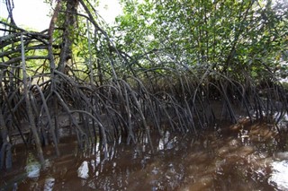 Surinam vejrudsigt