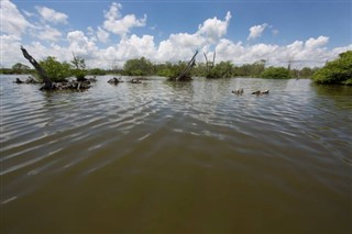 Surinam hava tahmini