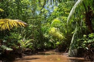 Surinam vejrudsigt