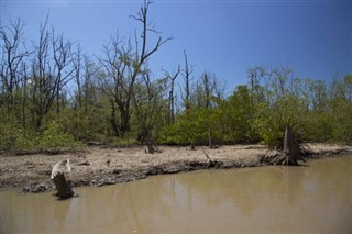 Suriname időjárás-jelentés