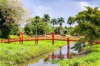 Surinam hava tahmini