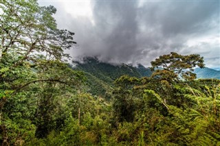 Surinam hava tahmini