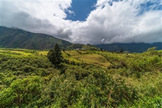Surinam Hava tahmini