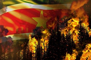 Surinam Hava tahmini