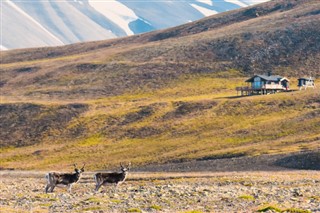 Svalbard vejrudsigt