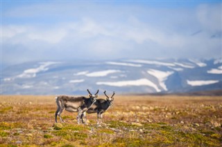 Svalbard hava tahmini