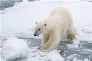 Svalbard hava tahmini