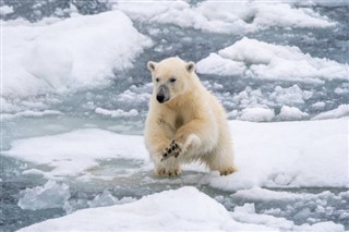 Svalbard Hava tahmini