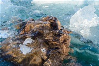 Svalbard vejrudsigt