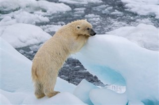 Svalbard időjárás-jelentés