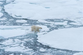 Svalbard Hava tahmini