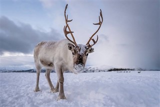 Svalbard időjárás-jelentés