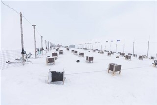 Svalbard vejrudsigt