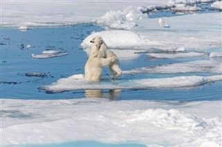Svalbard időjárás-jelentés
