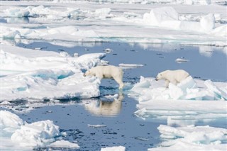 Svalbard weather forecast