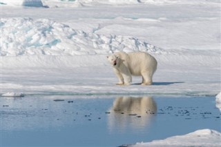Svalbard vremenska prognoza