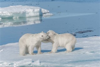 Svalbard időjárás-jelentés