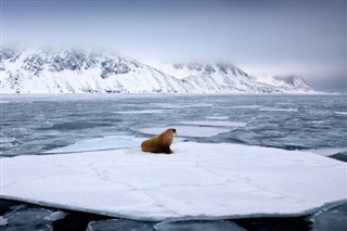Svalbard hava tahmini