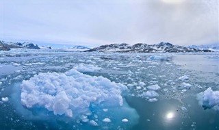 Svalbard hava tahmini