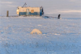 Svalbard hava tahmini
