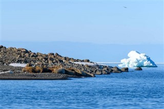 Svalbard időjárás-jelentés